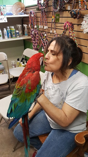 Jodi Kissing a Green wing Macaw