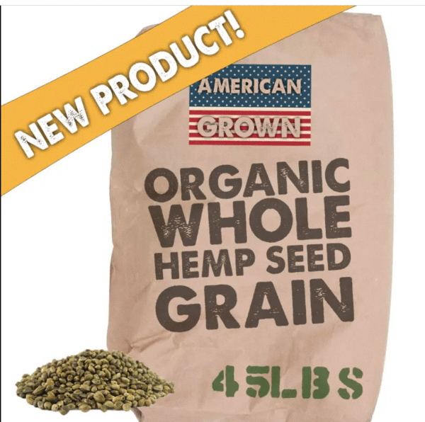 Organic whole hemp seed grain