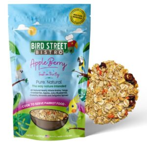 apple berry bird street bistro