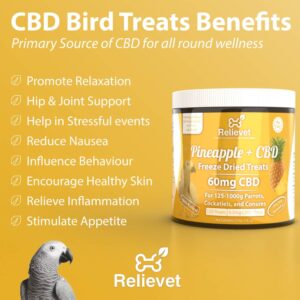 CBD for parrots, cockatiels, and conures who hurt themselves.
